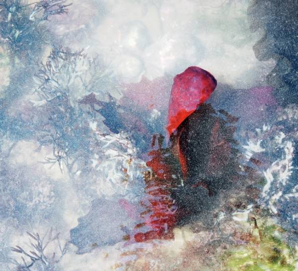 - a , Print by Lisa Woollett, measuring 20 x 20 cm (H x W) framed at 34 x 34 cm £40